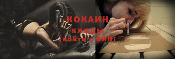соль ск Бронницы