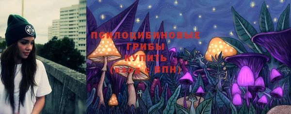 эйфоретик Бородино