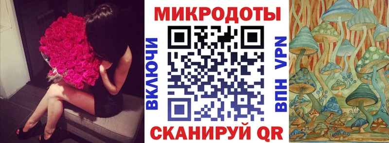 Псилоцибиновые грибы Psilocybine cubensis  Горячий Ключ 